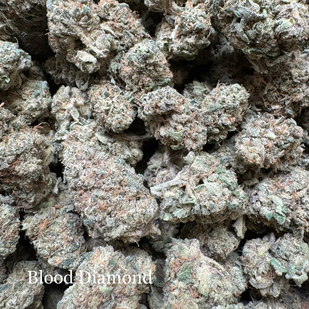 Indoor Blood Diamond Exotics