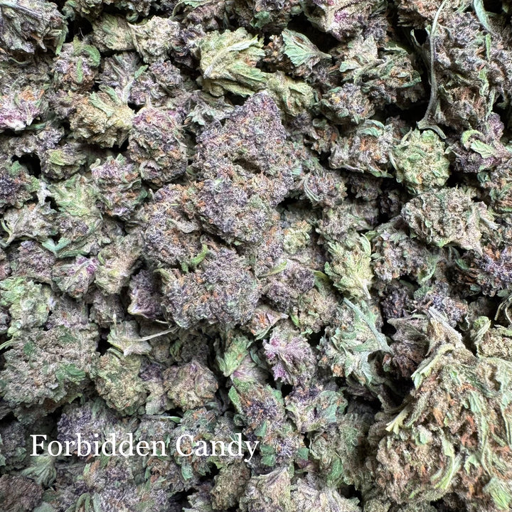 Forbidden Candy