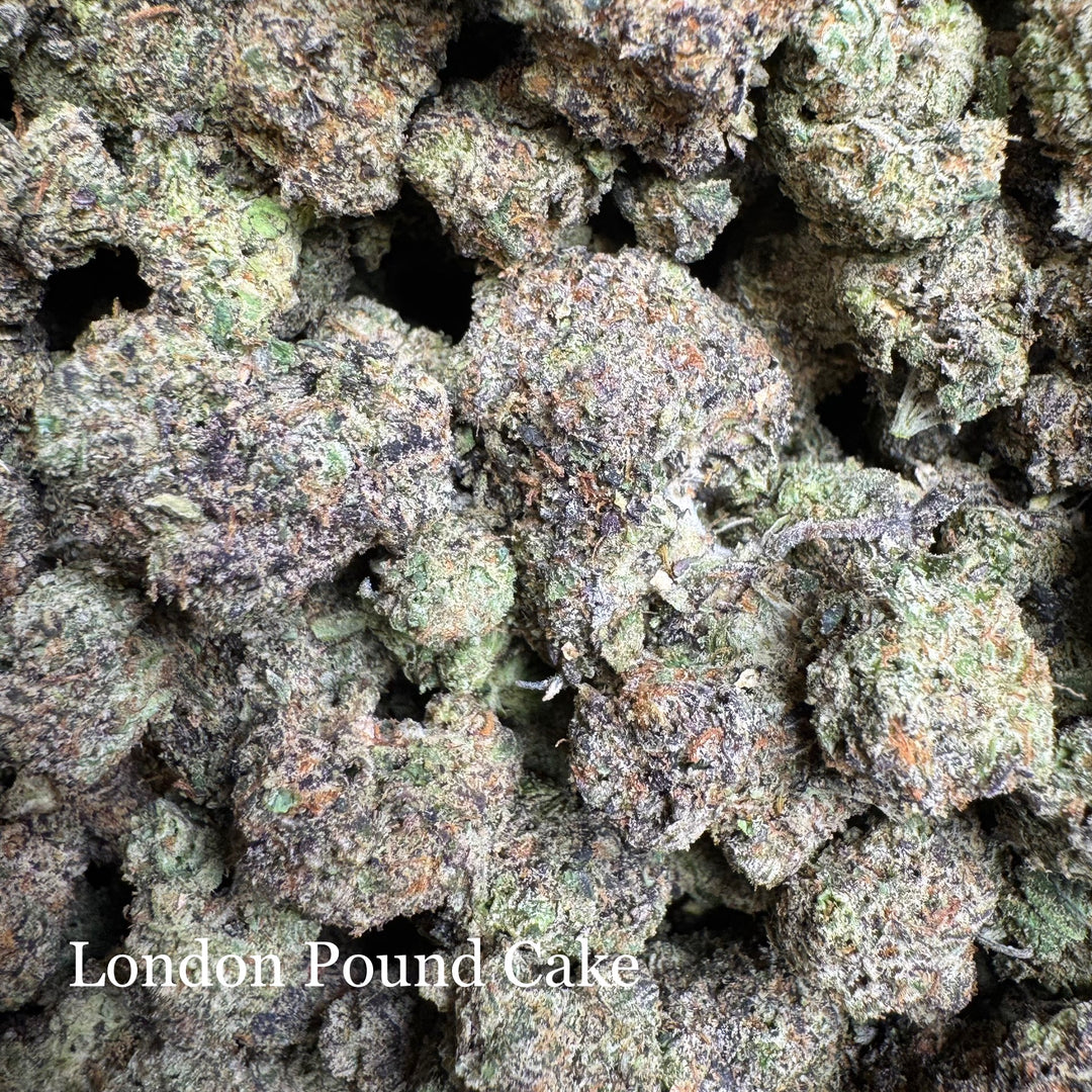 Indoor London Pound Cake - Exotics