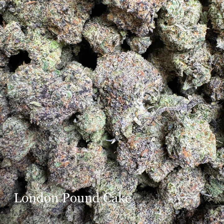 Indoor London Pound Cake - Exotics