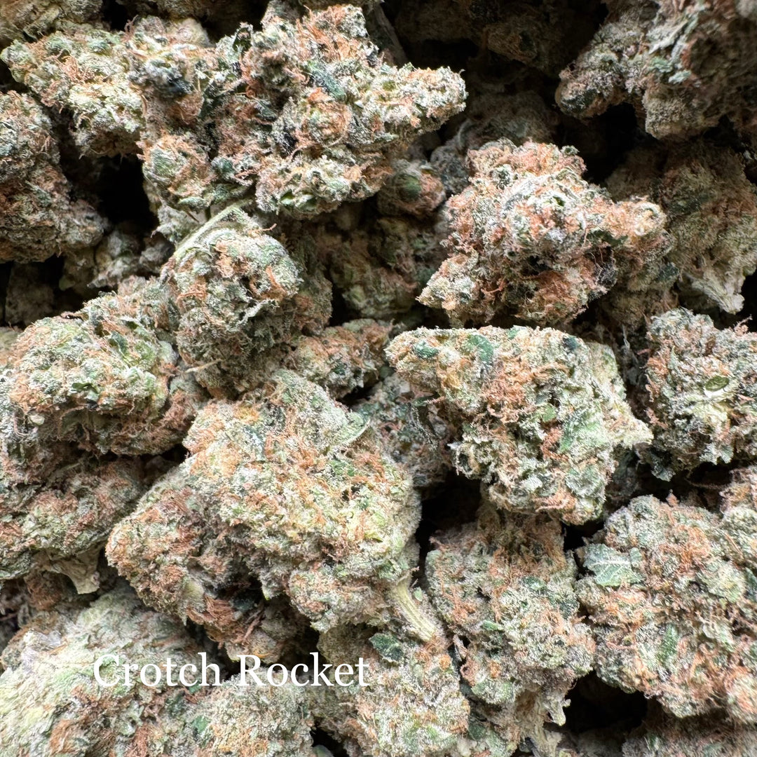 Indoor Crotch Rocket - Exotics