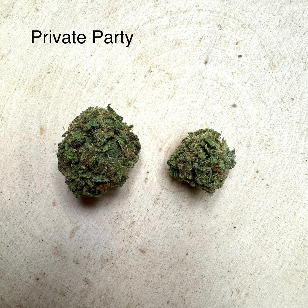 Private Party