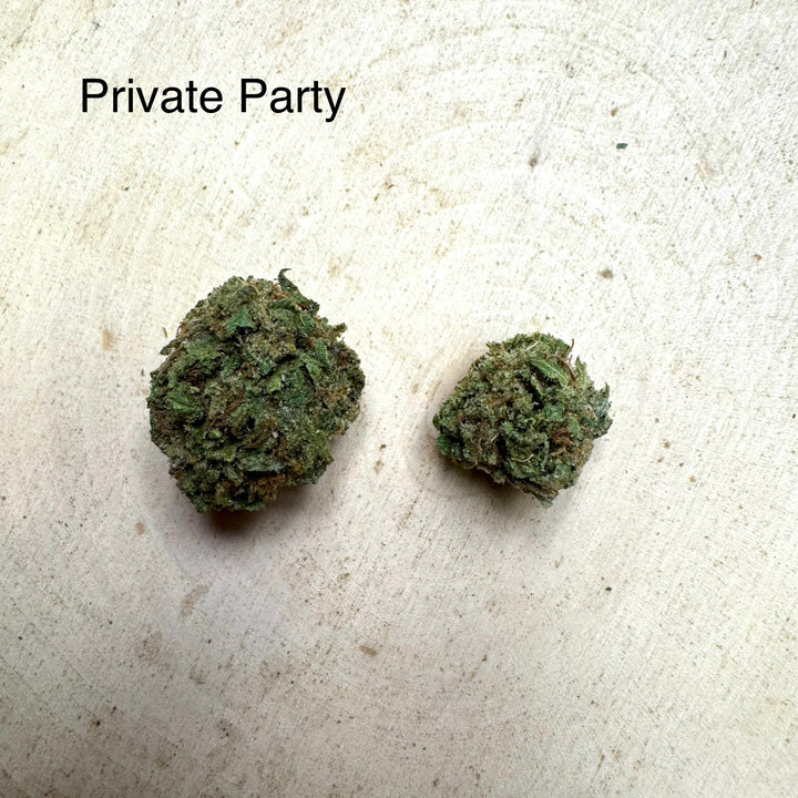 Private Party