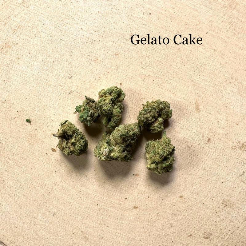 Indoor Gelato Cake