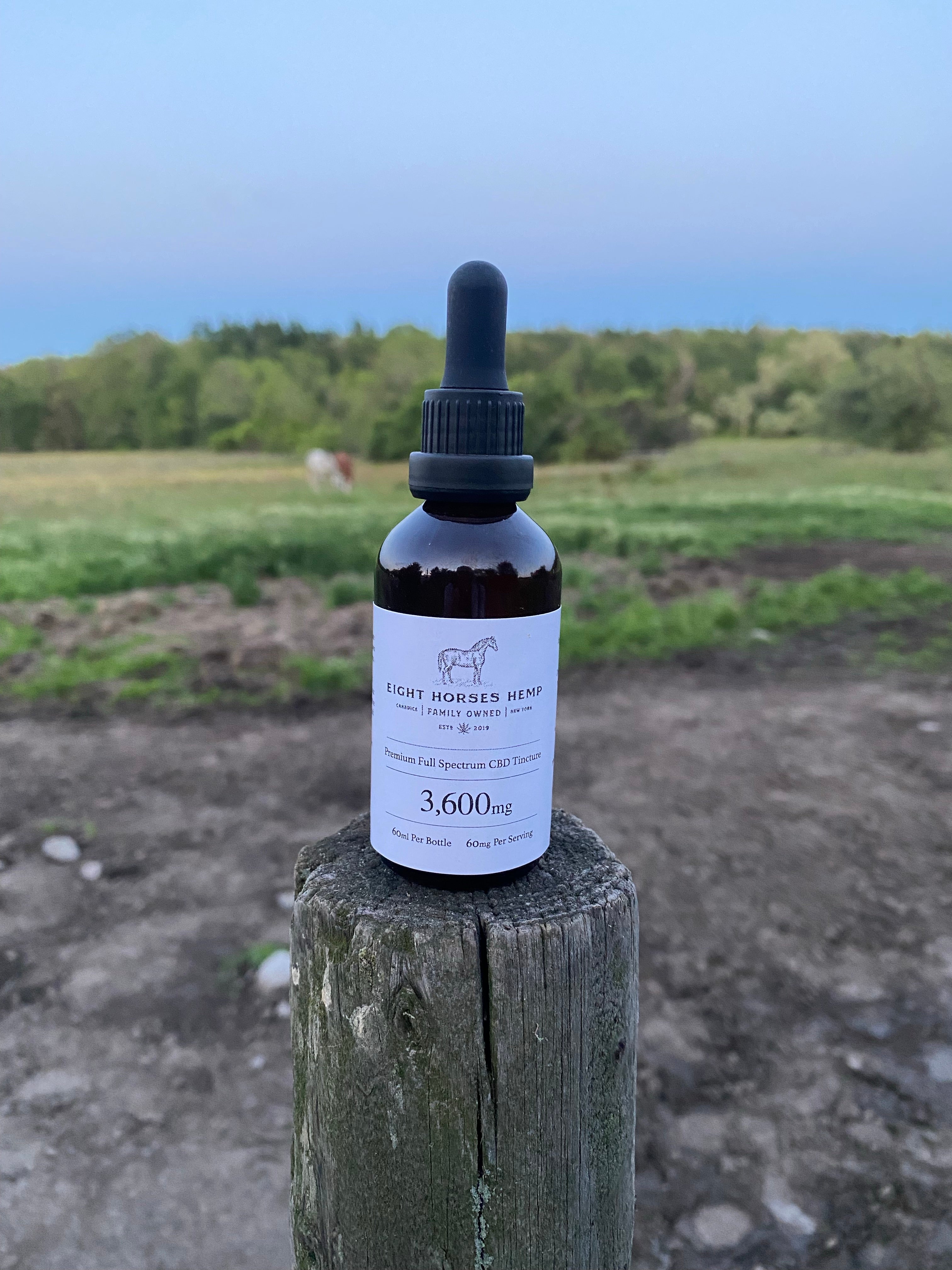 Tincture / CBD Oil