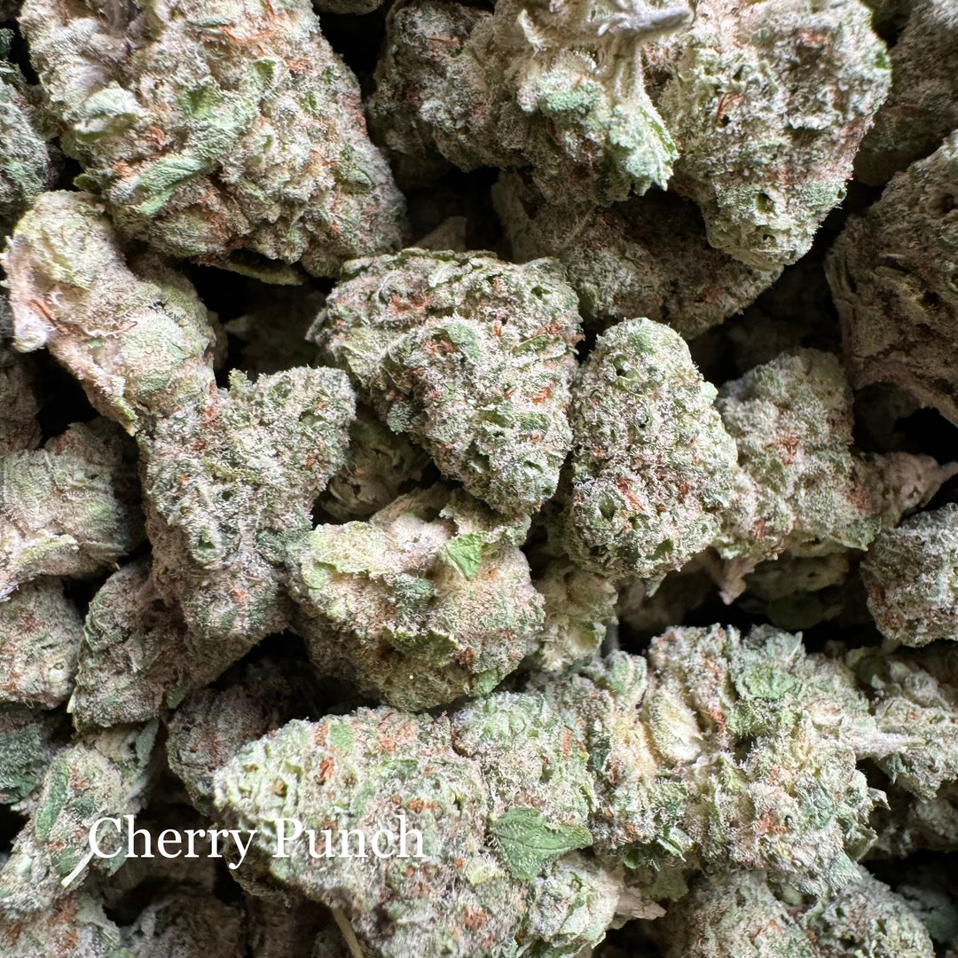 Indoor Cherry Punch
