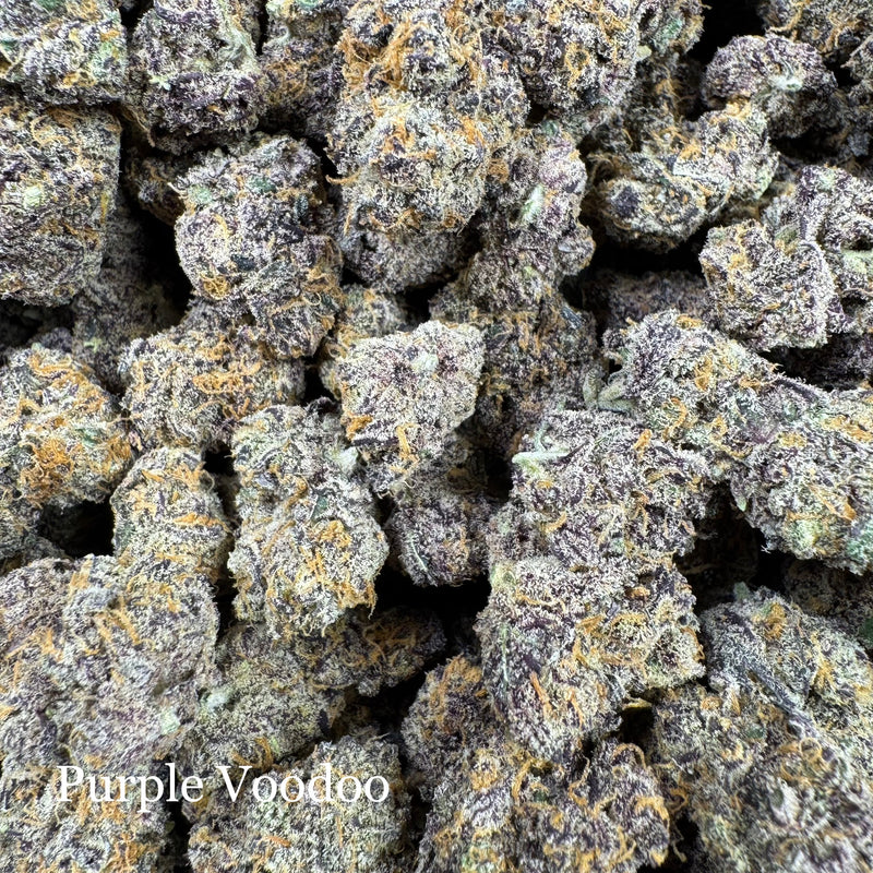 Indoor Purple Voodoo - Exotic