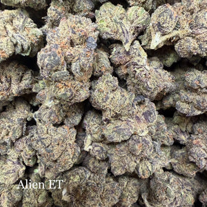 Indoor Alien ET - Super Exotics