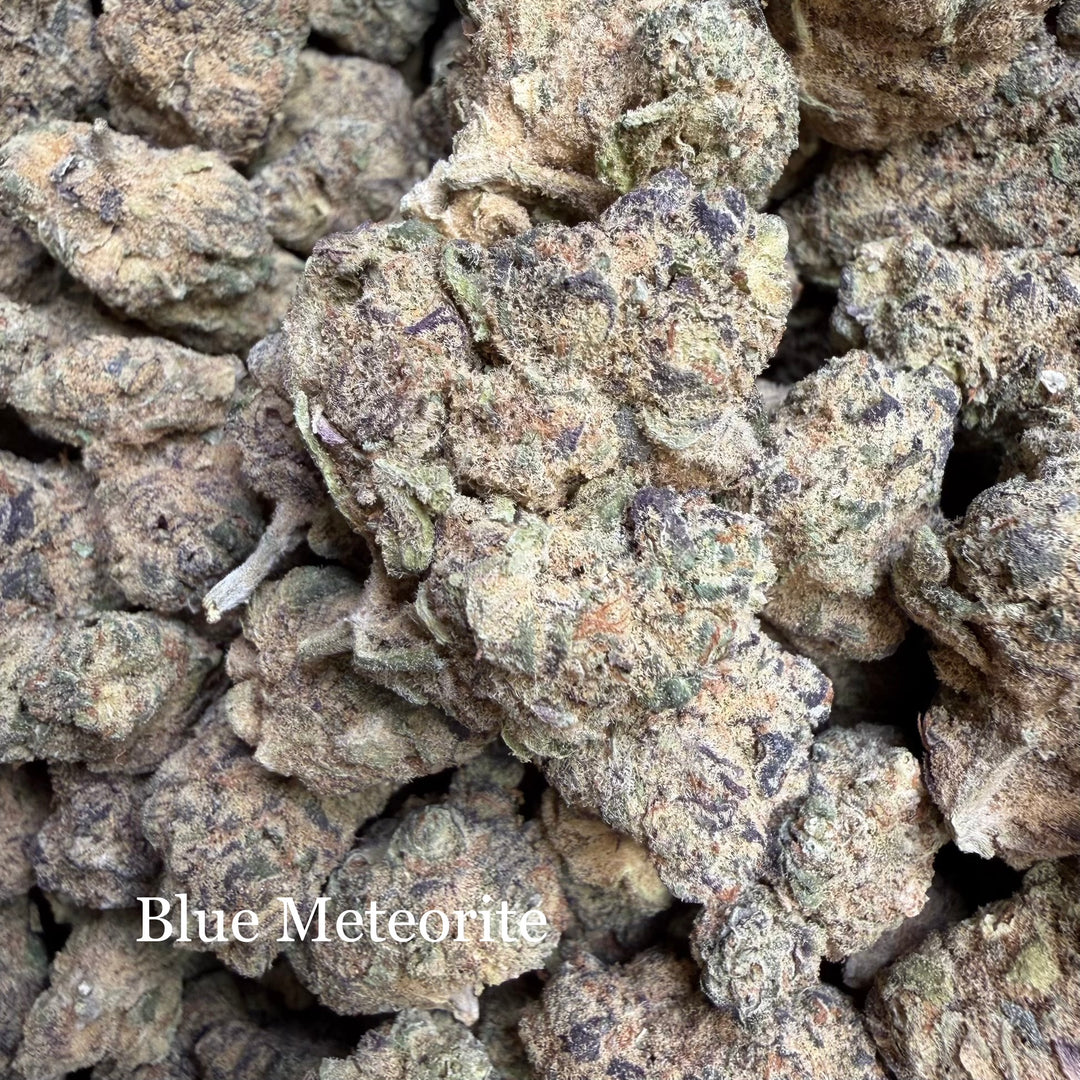 Indoor Blue Meteorite