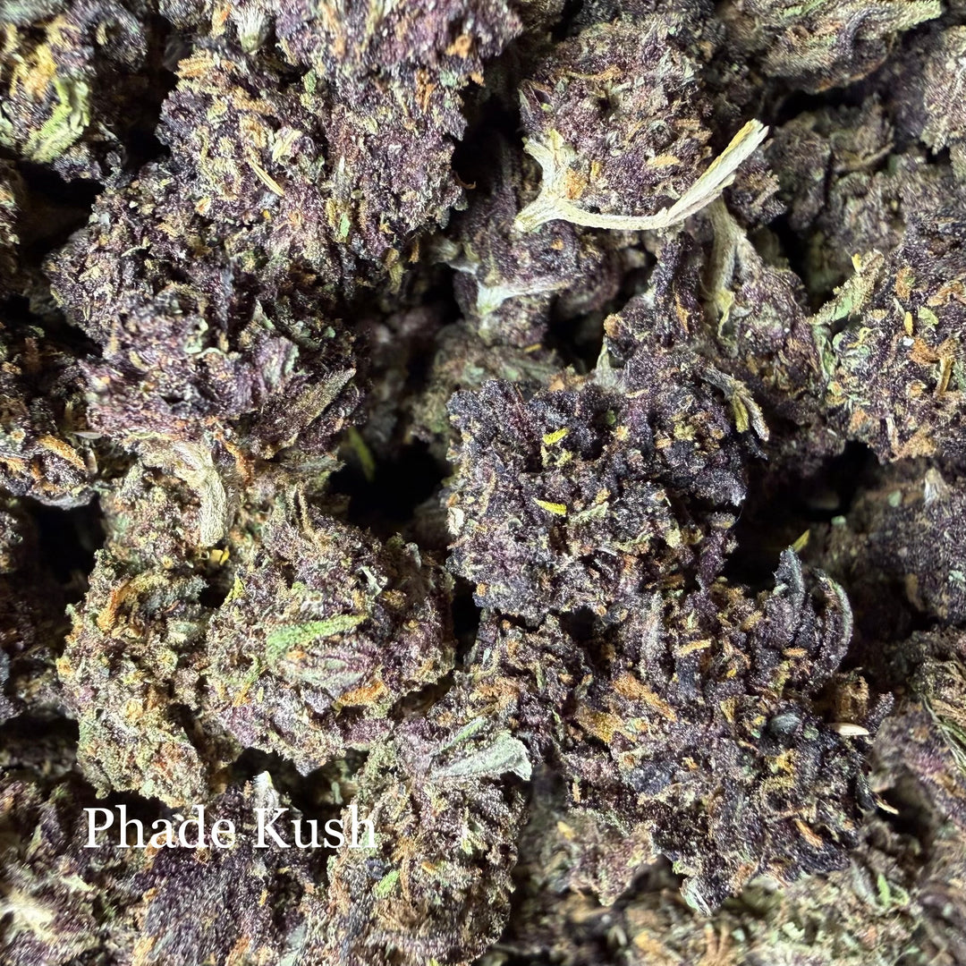 Phade Kush