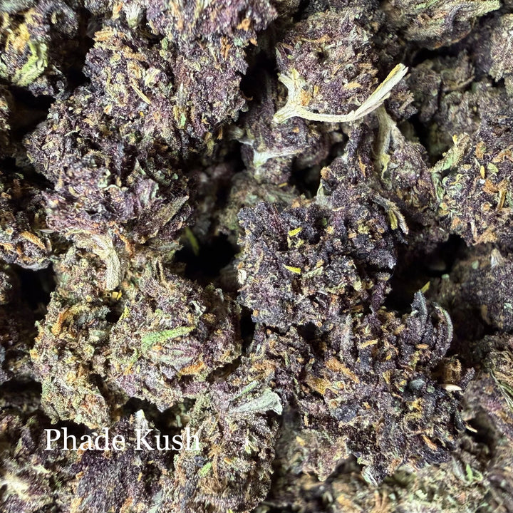 Phade Kush