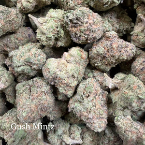 Indoor Gush Mintz Exotics