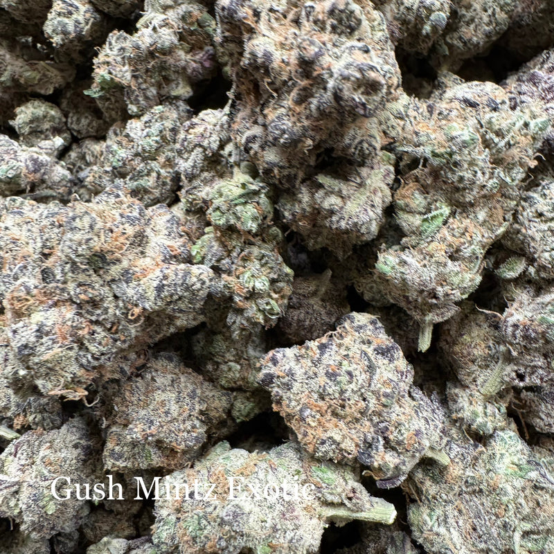 Indoor Gush Mintz - Exotic