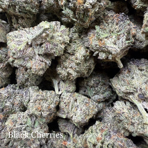 Indoor Black Cherries - Super Exotics