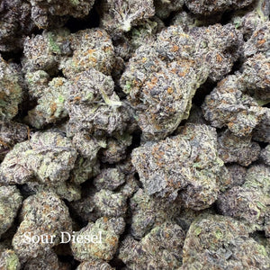 Indoor Sour Diesel - Super Exotics