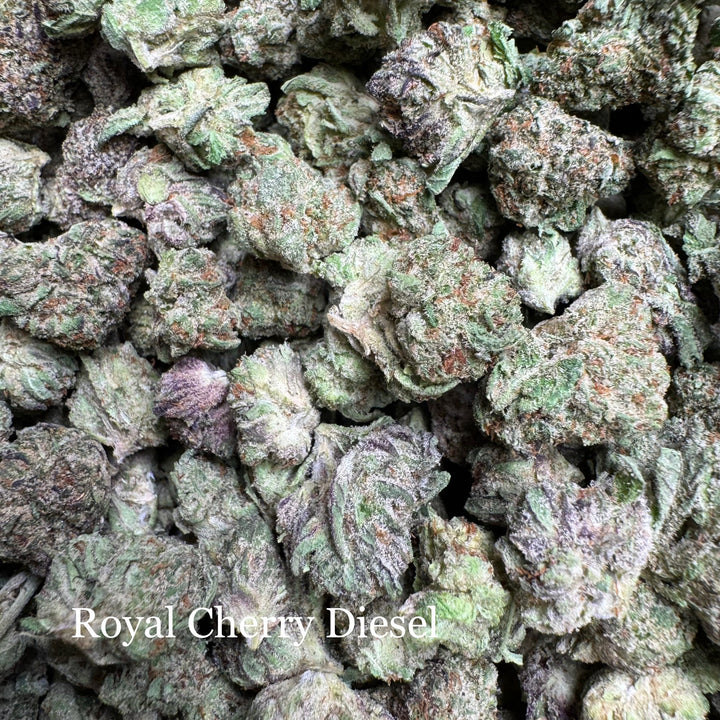 Indoor Royal Cherry Diesel