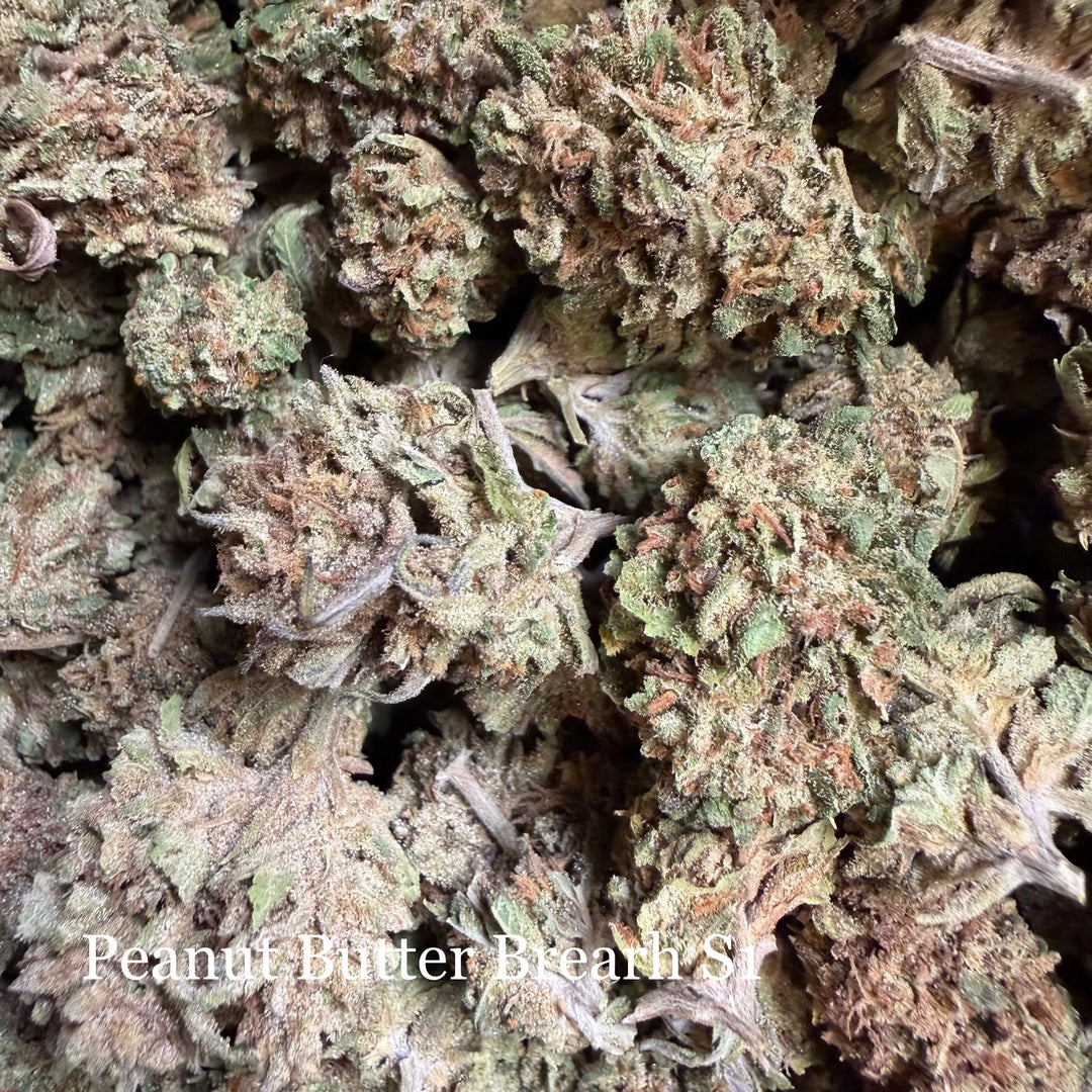 Peanut Butter Breath S1