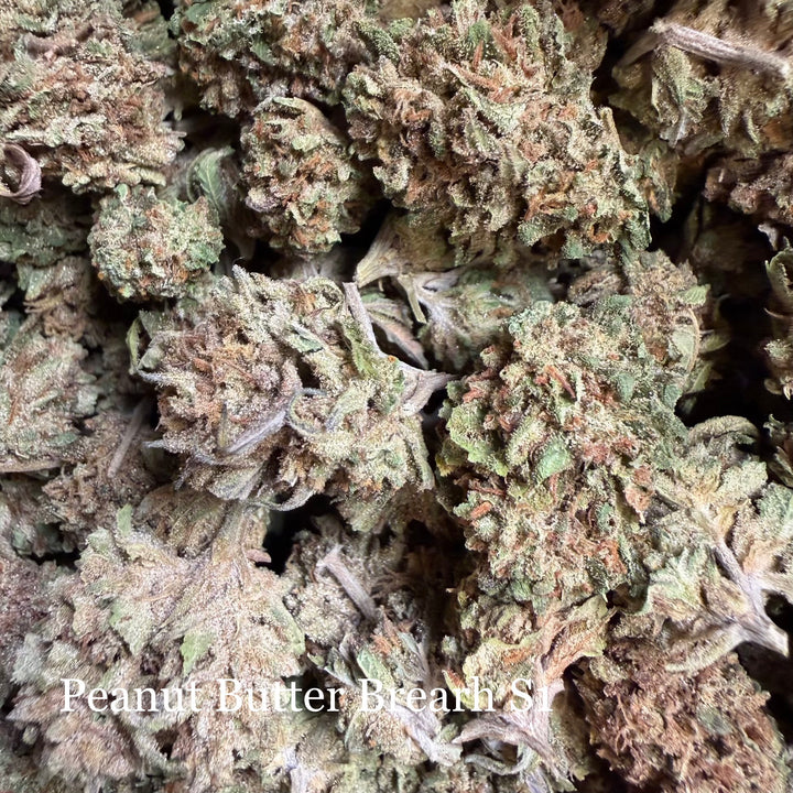 Peanut Butter Breath S1