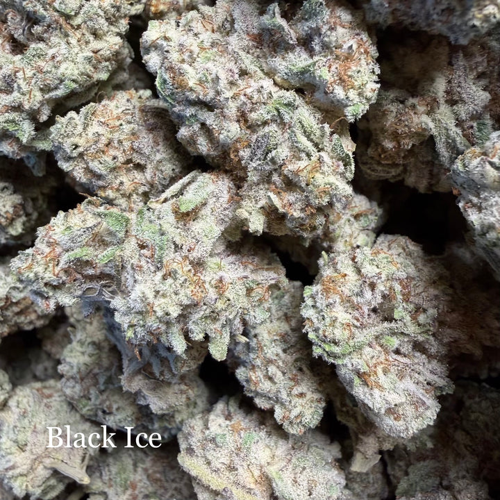 Indoor Black Ice - Super Exotics