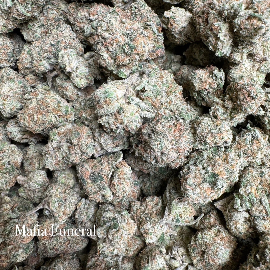 Indoor Mafia Funeral - Exotic