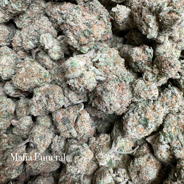 Indoor Mafia Funeral - Exotic