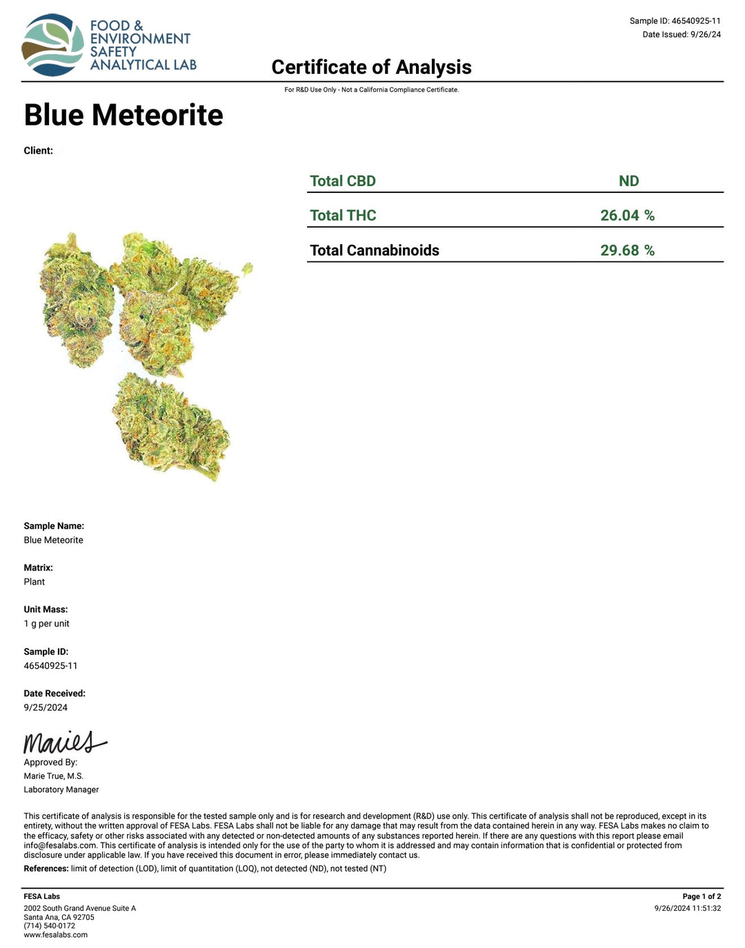 Indoor Blue Meteorite