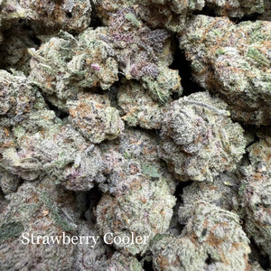 Indoor Strawberry Cooler - Super Exotics