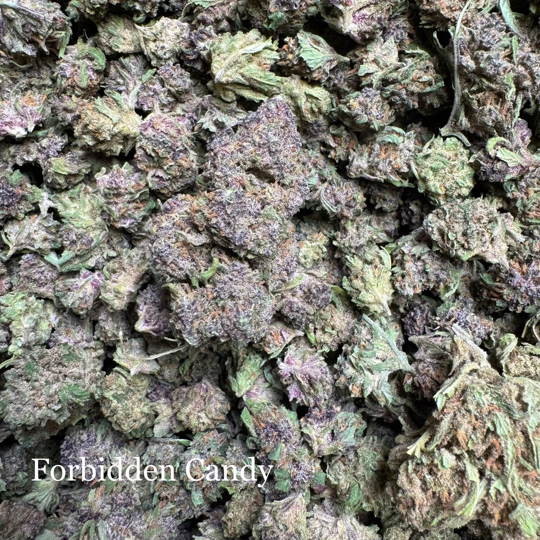 Forbidden Candy