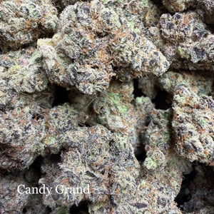 Indoor Candy Grand - Super Exotics