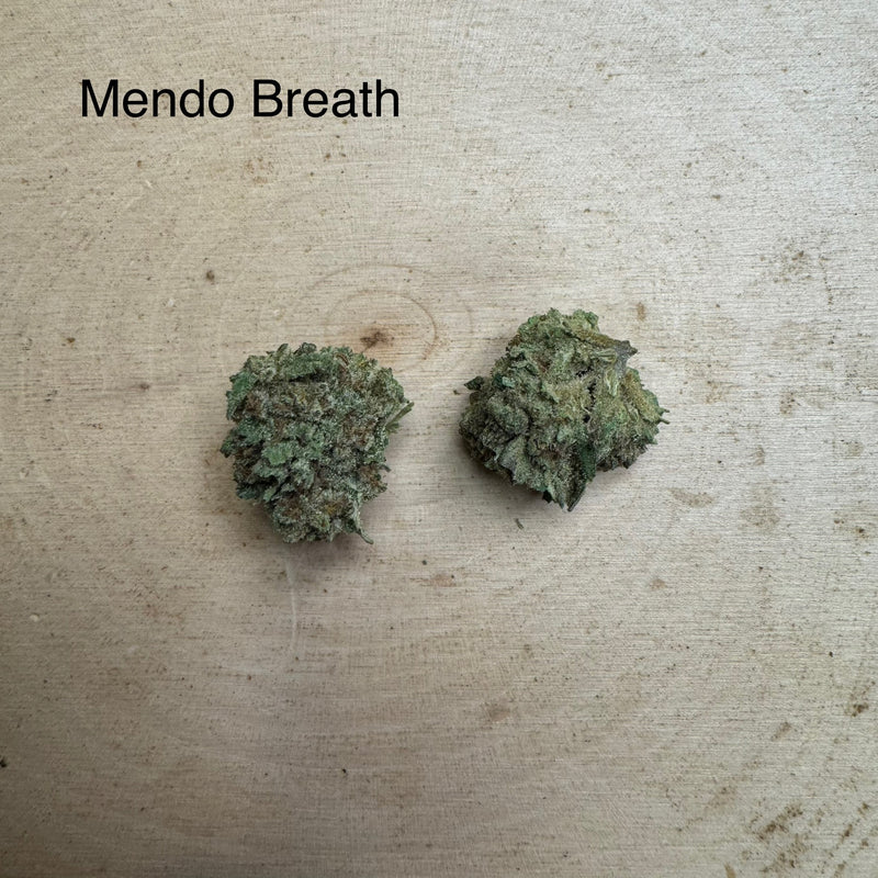 Mendo Breath