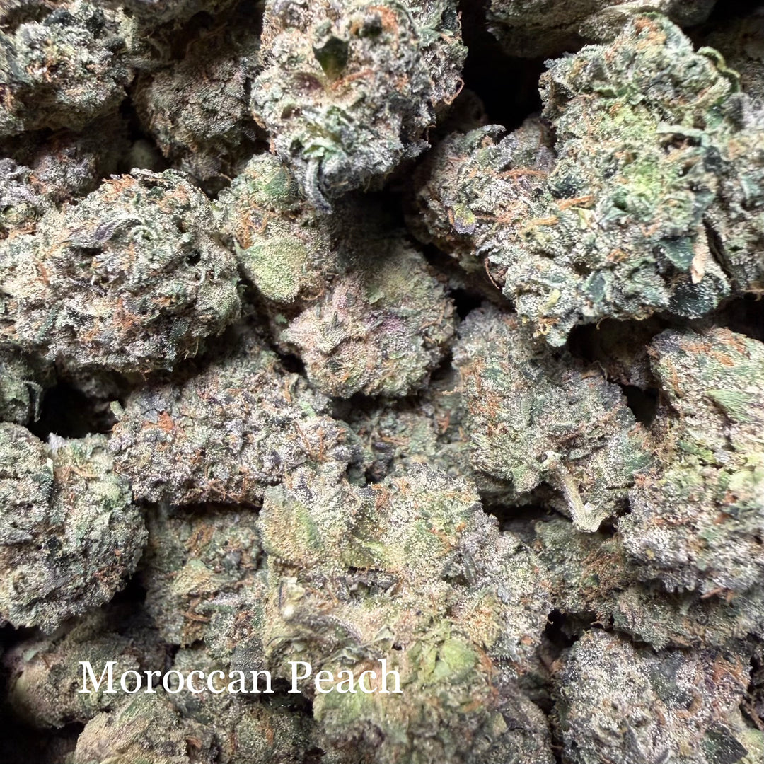 Indoor Moroccan Peach Exotics