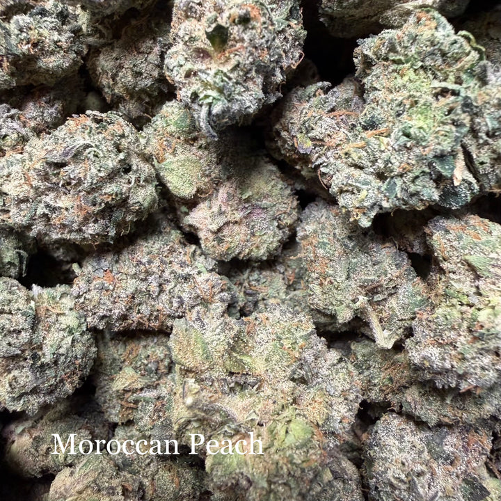 Indoor Moroccan Peach Exotics