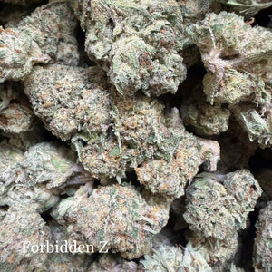 Indoor Forbidden Z Exotics