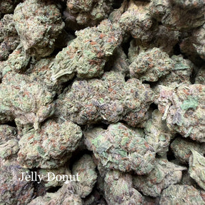 Indoor Jelly Donut - Super Exotics