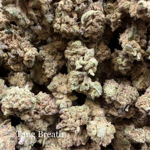 Indoor Tang Breath