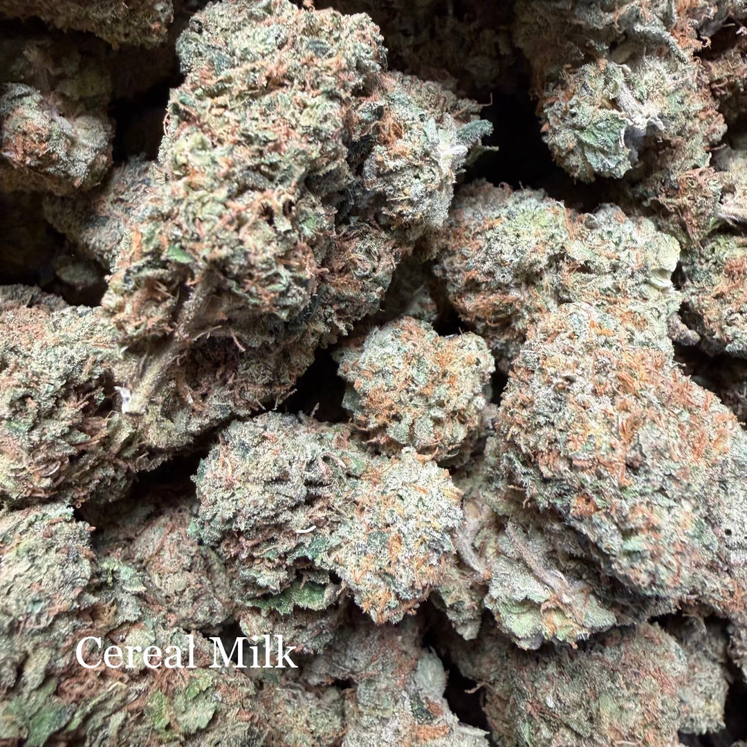 Indoor Cereal Milk Exotics