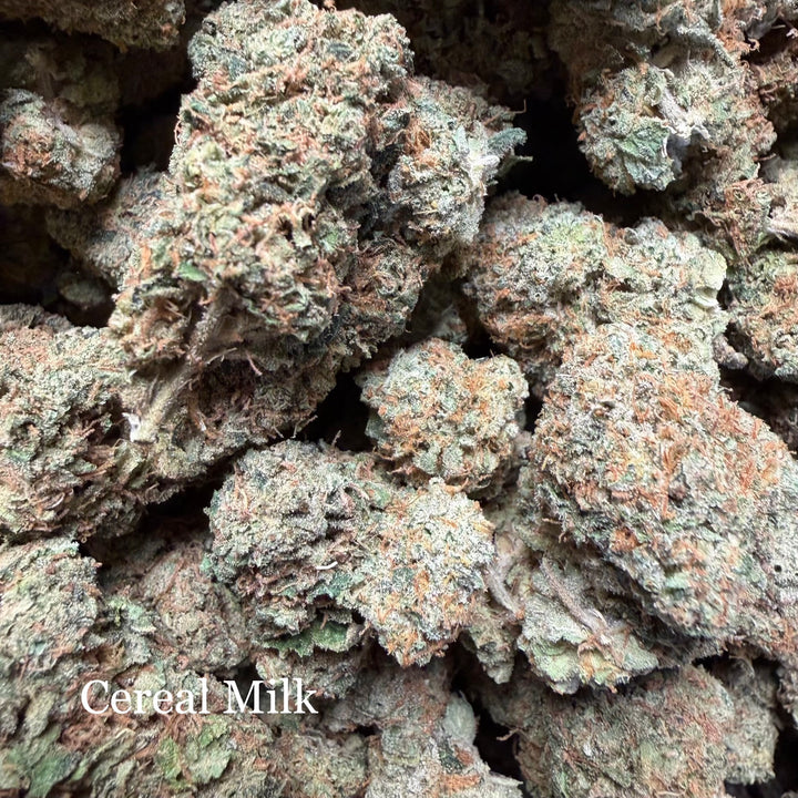 Indoor Cereal Milk Exotics