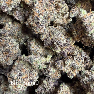 Indoor Blue Smurf - Super Exotics
