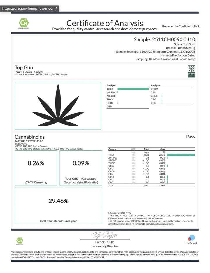 Indoor Top Gun - Super Exotics