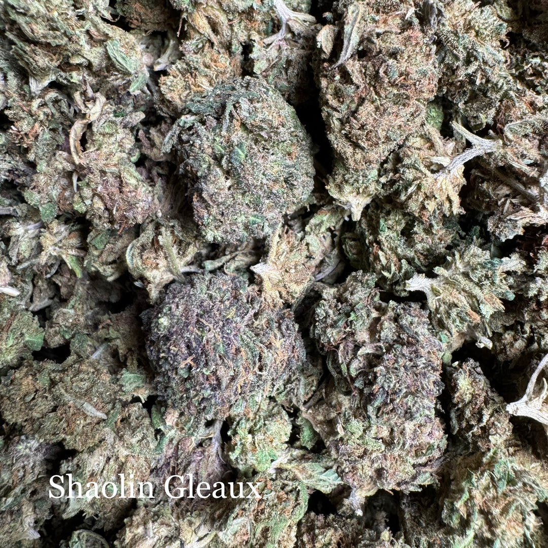 Shaolin Gleaux