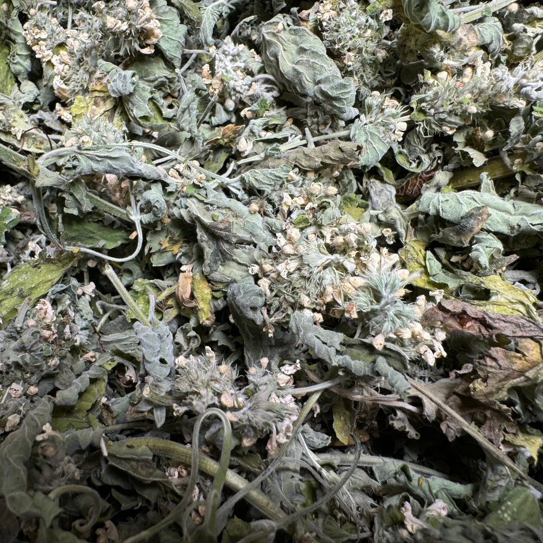 Catnip - 28g