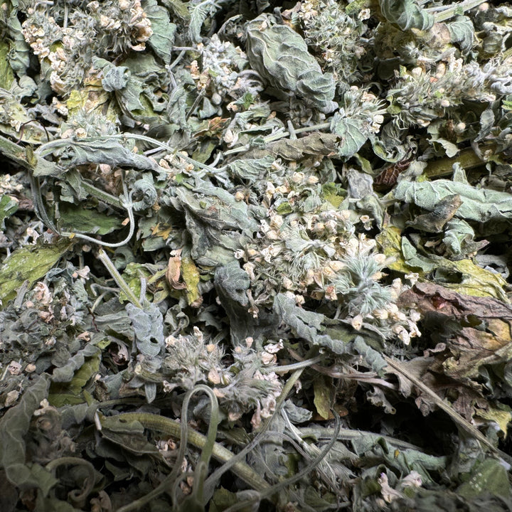 Catnip - 28g