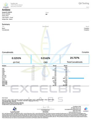 Indoor Antidote - Super Exotics