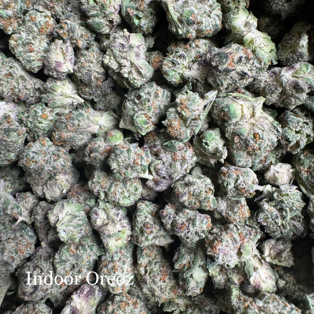 Indoor Oreoz