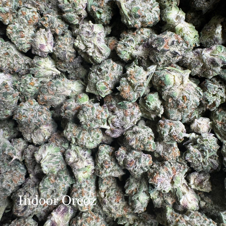 Indoor Oreoz