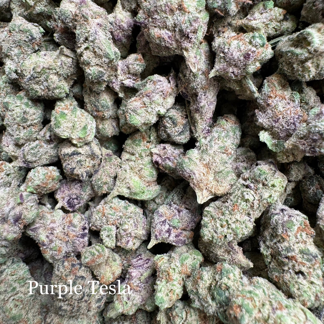 Indoor Purple Tesla