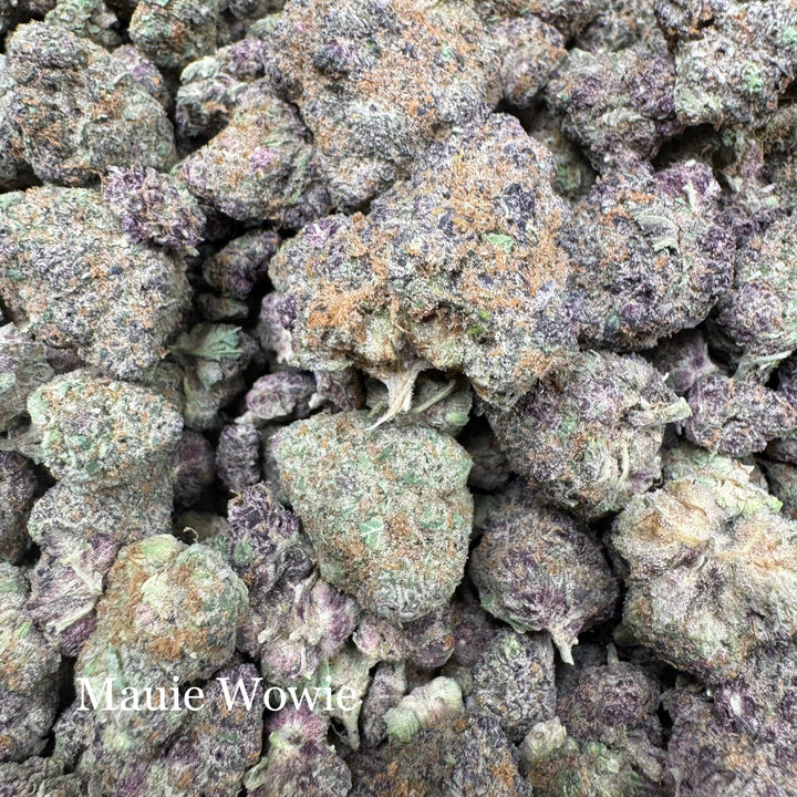 Indoor Maui Wowie - Exotic