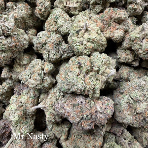 Indoor Mr Nasty - Super Exotics