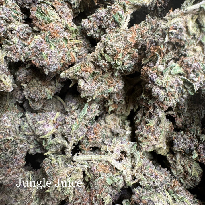 Indoor Jungle Juice