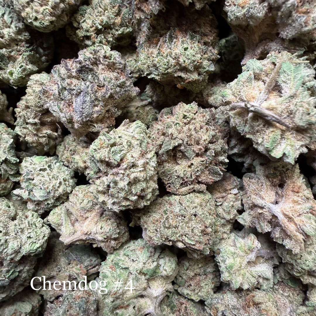 Chem Dog #4